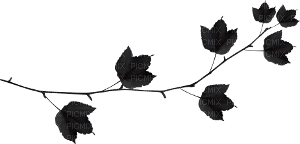 black branch - png grátis