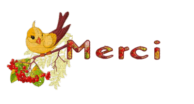 oiseau merci - Darmowy animowany GIF
