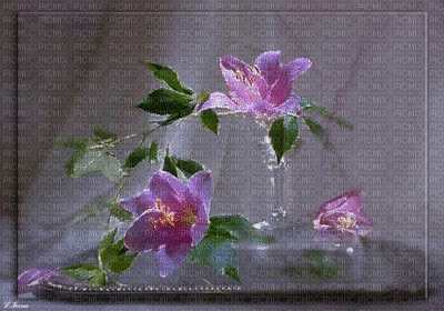 ani-bg-grå-blommor - Nemokamas animacinis gif