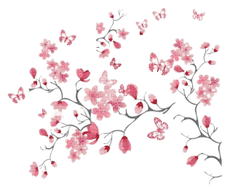 cherry blossom spring - besplatni png