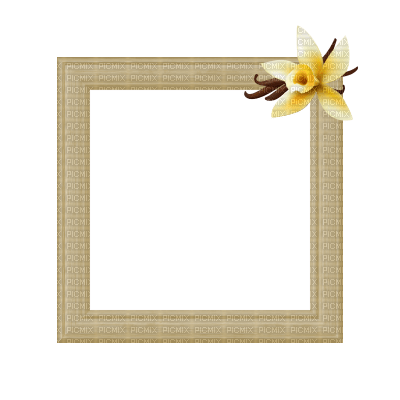 Small Cream Frame - kostenlos png