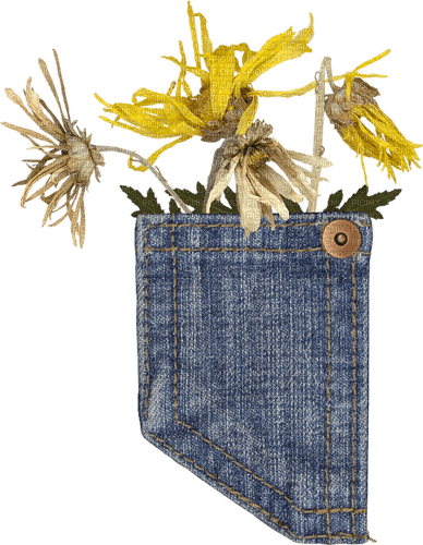 Jeans.pocket.deco.fleurs.Victoriabea - ücretsiz png