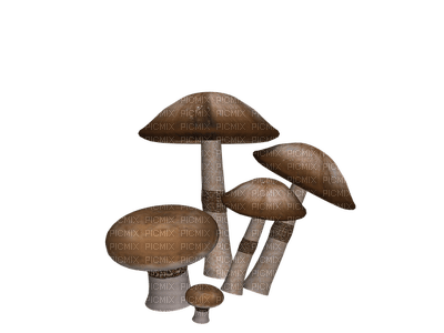 syksy autumn sieni mushroom sisustus decor - PNG gratuit