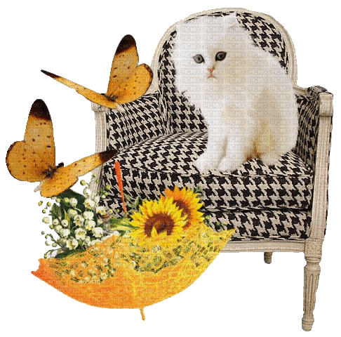 Cat, Katze, Sessel, Blumenschirm - Gratis animeret GIF