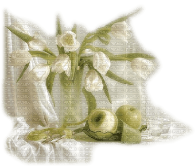 tube fleur - darmowe png
