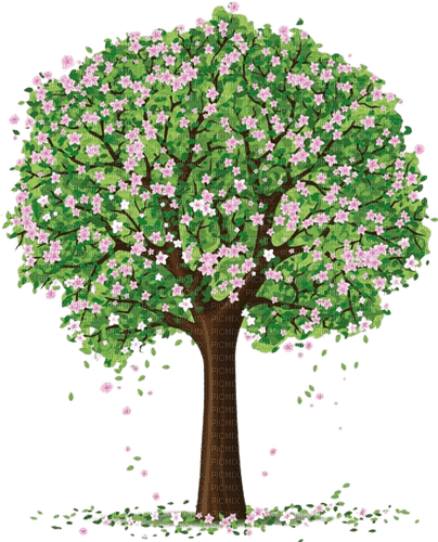 arbre fleuri - nemokama png