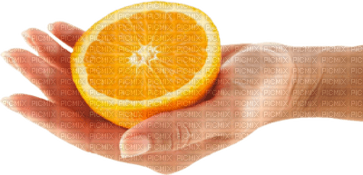 fruit oranges bp - ilmainen png