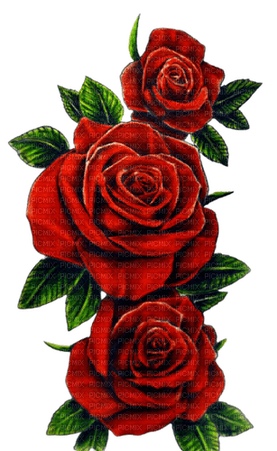 red flowers - zdarma png