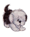 Hund wedelt mit schwanz - 無料のアニメーション GIF