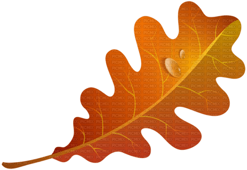 Orange Leaf-RM - ingyenes png