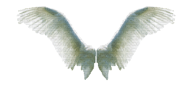 wings bp - Besplatni animirani GIF