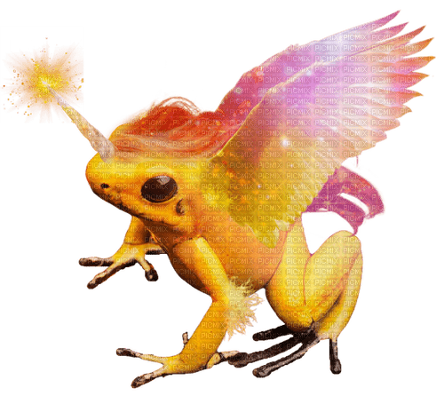 sunburst pegafrog - безплатен png