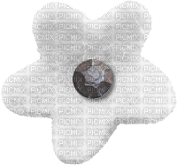 Flower Blume Button Knopf white - zdarma png