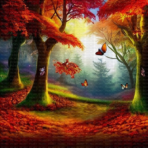 kikkapink autumn fantasy background forest - darmowe png