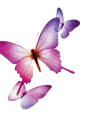 Tube Papillon - Безплатен анимиран GIF