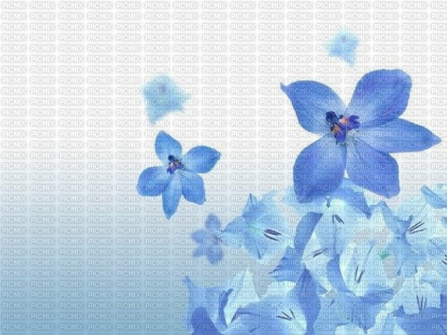 Hintergrund, Blumen - png gratuito