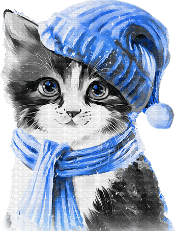 soave cat animals winter deco black white blue - безплатен png