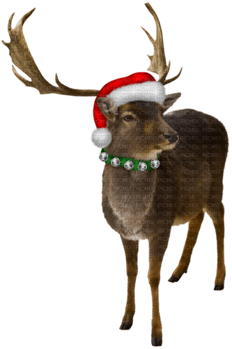 Reindeer.Brown.White.Red.Green.Silver - δωρεάν png