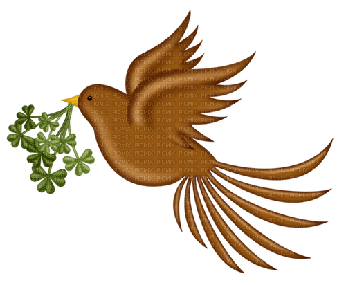 Oiseaux St-Patrick:) - png ฟรี
