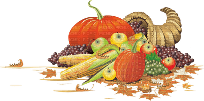 thanksgiving - PNG gratuit