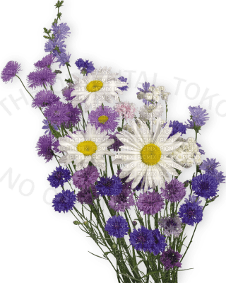 flowers two katrin - png gratuito