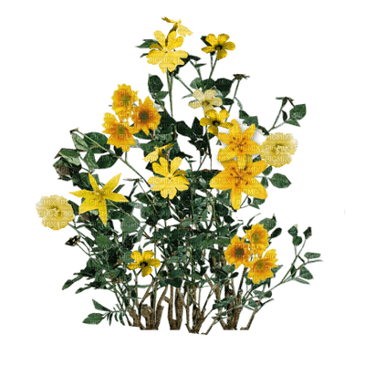 yellow wildflowers, sunshine3 - nemokama png