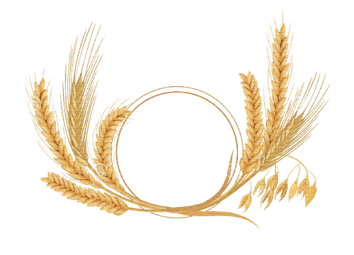 Frame blé moisson - gratis png