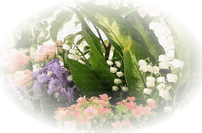 patymirabelle muguet fleurs - PNG gratuit