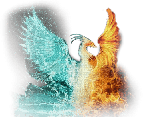 Phoenix eau et feu - PNG gratuit