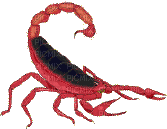Scorpion.Escorpión.Red.gif.Victoriabea - Gratis animerad GIF