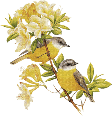 soave deco vintage branch bird yellow - Free PNG