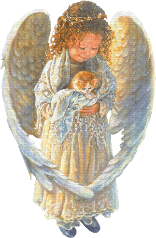Angel with kitten png - PNG gratuit
