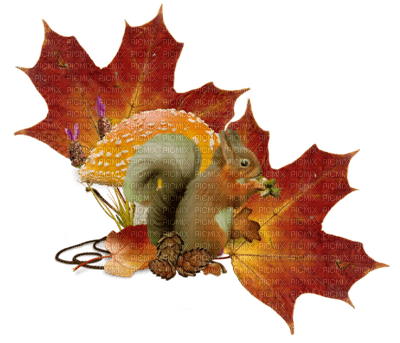 autumn katrin - фрее пнг