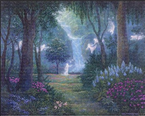 Fairy Forest - bezmaksas png