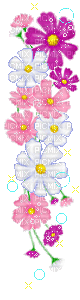 flower fleur blossom blumen deco tube    spring printemps     gif anime animated animation border line summer pink fleurs - GIF animate gratis