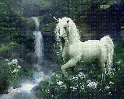Licorne.Unicorn.Fantasy.Victoriabea - ücretsiz png