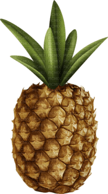 ananas - besplatni png