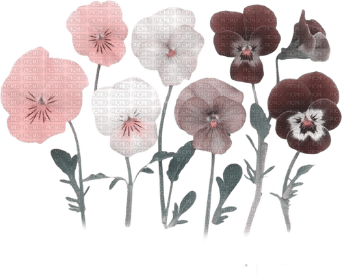 kikkapink spring summer  flowers deco - Free PNG