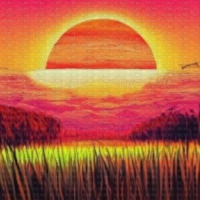 Sunset Field - PNG gratuit