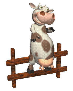 cow kuh rind vache animaux animal farm tube gif anime animated animation mignon farm fun - GIF animado gratis