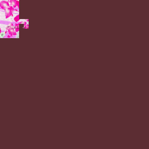 BG /  spring.flowers.animpink.idca - 免费动画 GIF