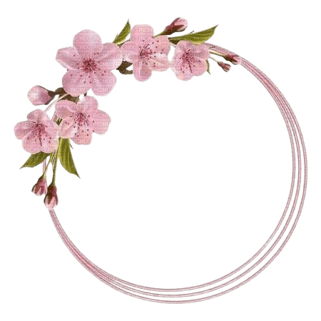 Circle Sakura - By StormGalaxy05 - ilmainen png