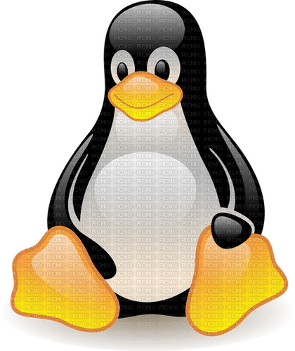 Pinguin - 無料png