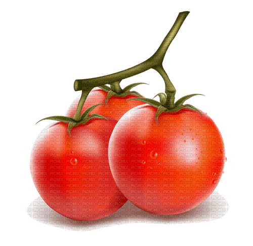 Tomaten - безплатен png