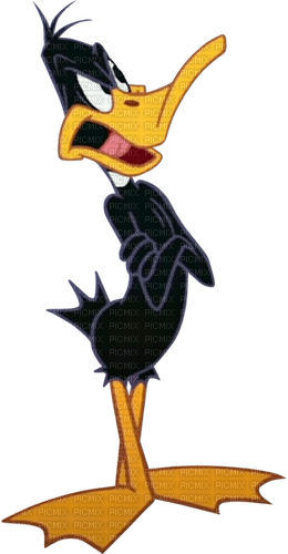 daffy - darmowe png