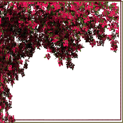 Y.A.M._Autumn Frame - zdarma png