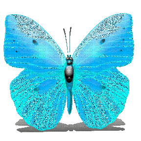 Schmetterling,  butterfly - Animovaný GIF zadarmo