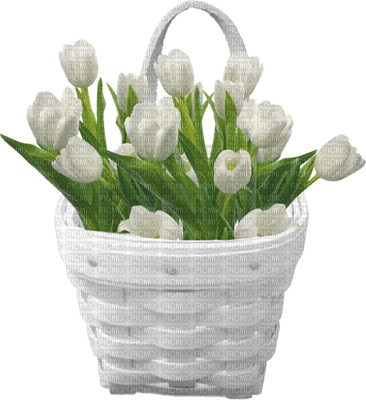 Kaz_Creations Deco Flower Flowers Colours Plant   Basket - бесплатно png
