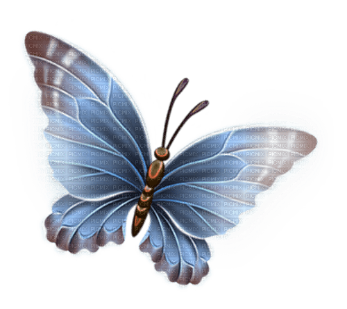 Papillon - darmowe png