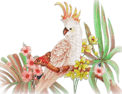 soave deco summer tropical bird parrot branch - png gratuito